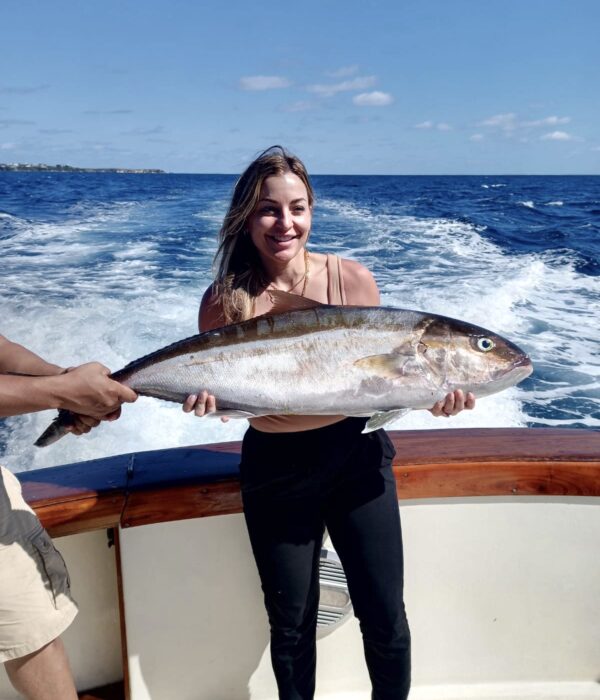 Amberjack