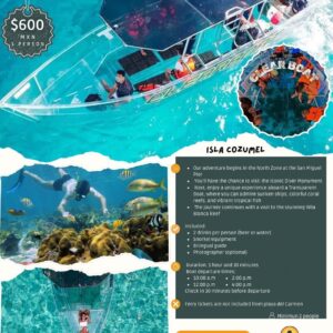 Under the Sea of Cozumel – Clear Boat Experience